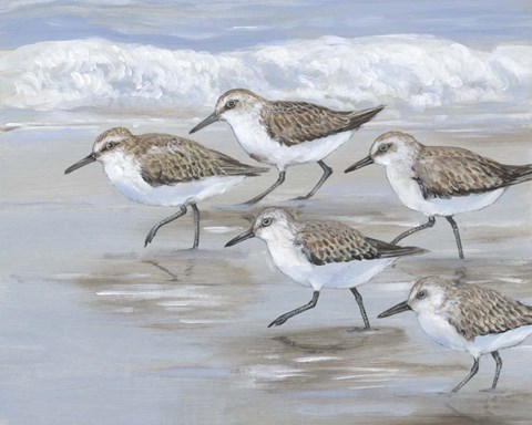 Framed Sandpipers I Print