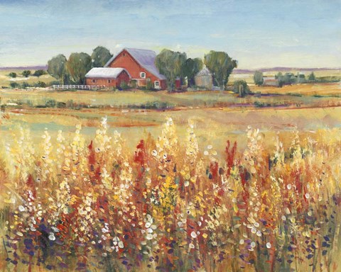 Framed Country View I Print