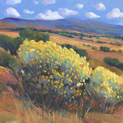 Framed Chamisa I Print