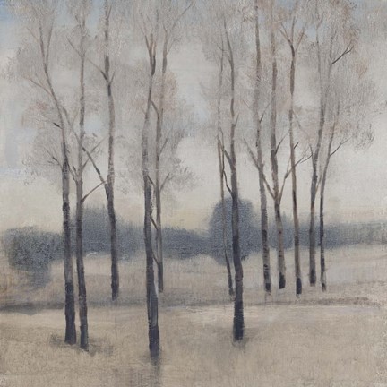 Framed Soft Light I Print