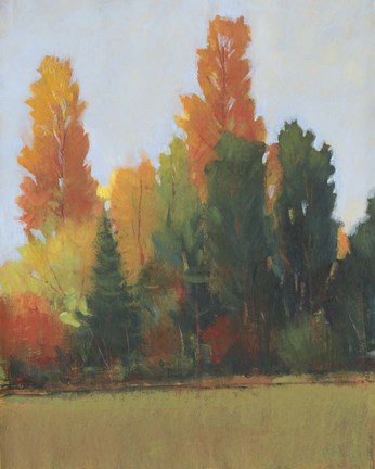 Framed Fall Colors I Print