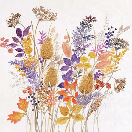 Framed Dried Arrangement II Print