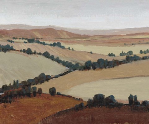 Framed Soaring View II Print