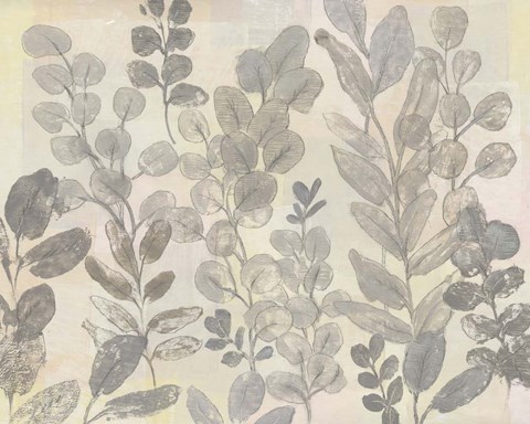 Framed Leaf Pattern II Print