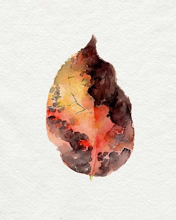 Framed Watercolor Autumn Leaf I Print