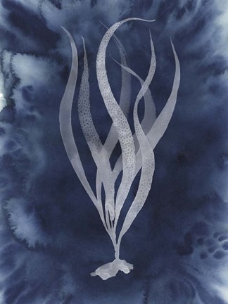 Framed Midnight Kelp I Print