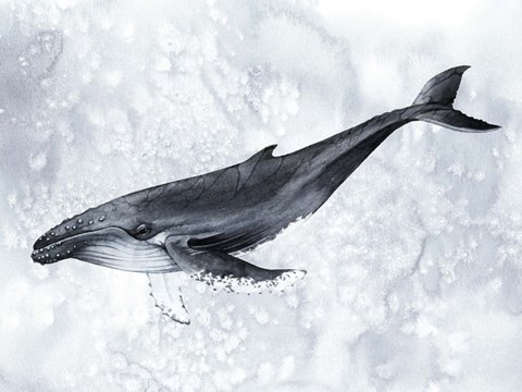 Framed Deep Diver II Print