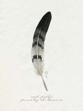 Framed Found Feather I Print