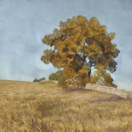 Framed Autumn's Tranquility I Print