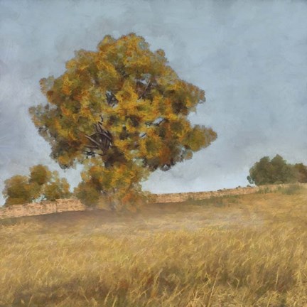 Framed Autumn's Tranquility II Print