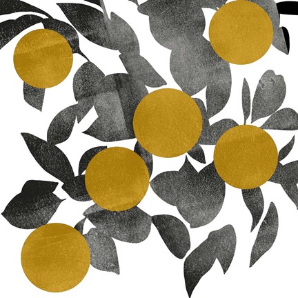 Framed Shadow Branch IV Print