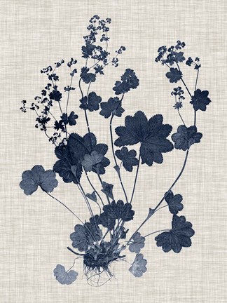 Framed Navy &amp; Linen Leaves II Print