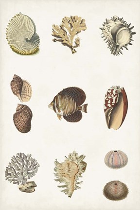 Framed Antique Coastal Chart I Print