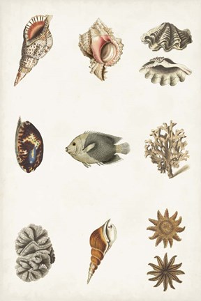 Framed Antique Coastal Chart II Print