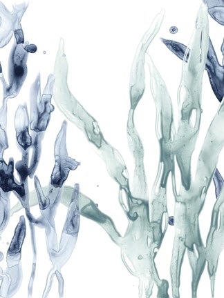 Framed Blue Kelp II Print