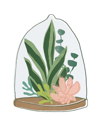 Framed Terrarium Cameo VII Print