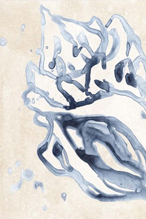 Framed Water Shells II Print