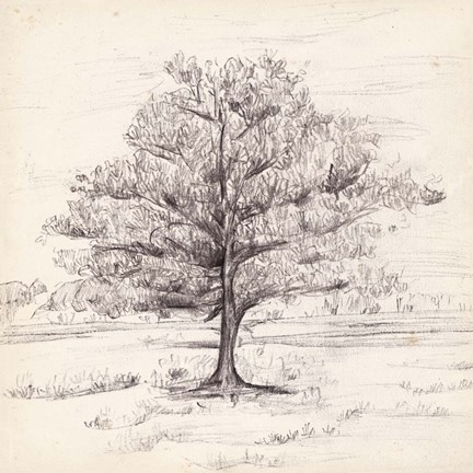 Framed Silent Presence I Print