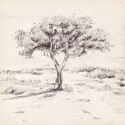 Framed Silent Presence II Print