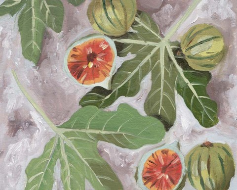 Framed Decorative Fig II Print