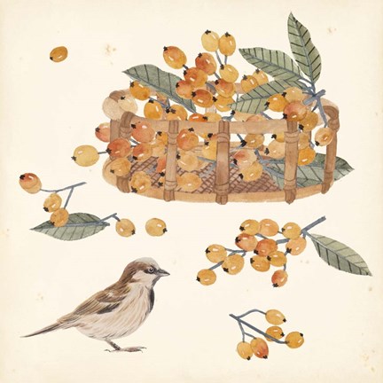 Framed Basket with Fruit III Print