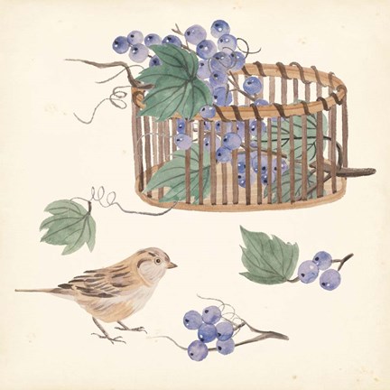 Framed Basket with Fruit V Print