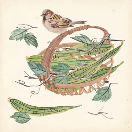 Framed Basket with Fruit VI Print