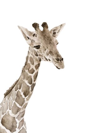 Framed Safari Animal Portraits II Print