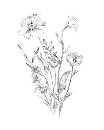 Framed Wild Bunch I Print