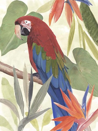 Framed Tropical Parrot Composition III Print