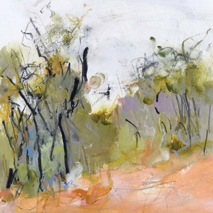 Framed Fire Trail to Hanging Rock Print