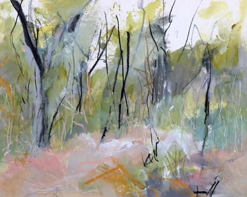 Framed Melaleuca Clearing, Loftus Print