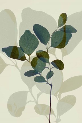 Framed Green Leaves 7 Print