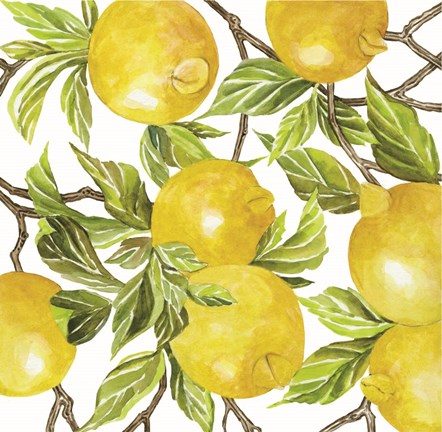 Framed Lemon Square Print