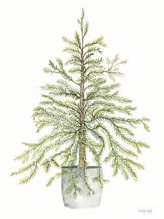 Framed Pine Tree in Pot I Print
