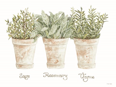 Framed Herb Trio Print