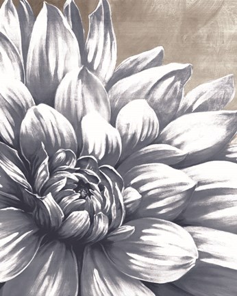 Framed Charming Floral I Print