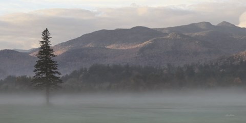 Framed Adirondack Misty Morning Print