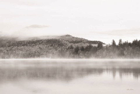 Framed Foggy View Print