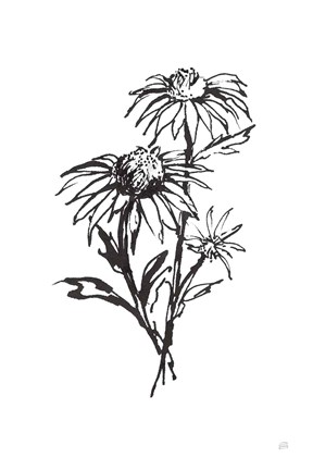 Framed Line Echinacea III Print