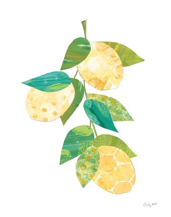 Framed Summer Lemons II Print