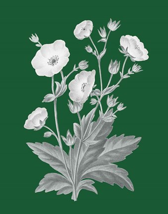 Framed Green Botanical VI Print