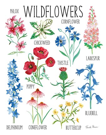 Framed Nature Chart I Print