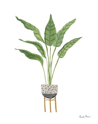 Framed Green House Plants III Print