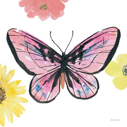 Framed Beautiful Butterfly I Pink Print