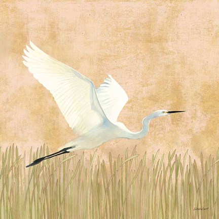 Framed Egret Alighting II Print