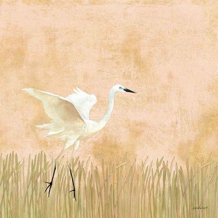 Framed Egret Alighting I Print