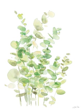 Framed Eucalyptus III Print