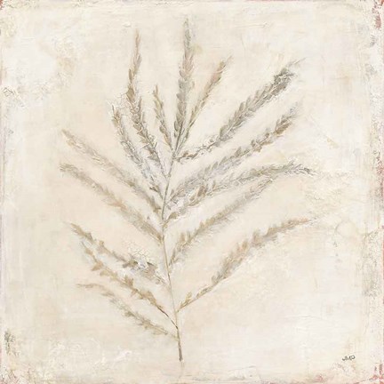 Framed Plantlife I Print