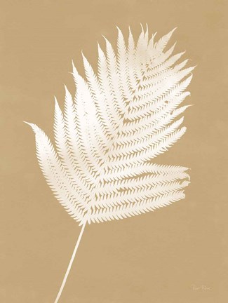 Framed Nature by the Lake Ferns III Brown Print